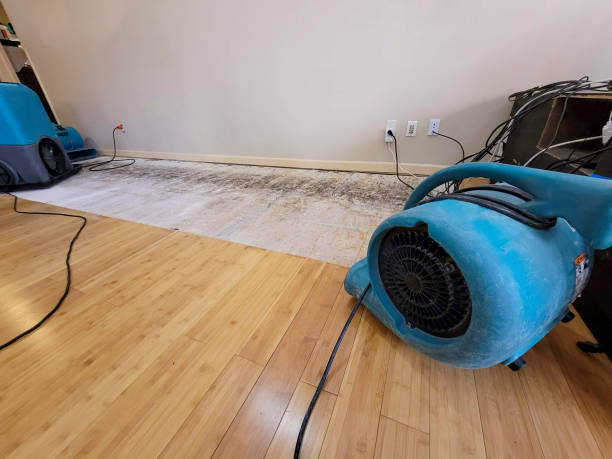 Professional Basement Flood Cleanup technician working in Star, MS